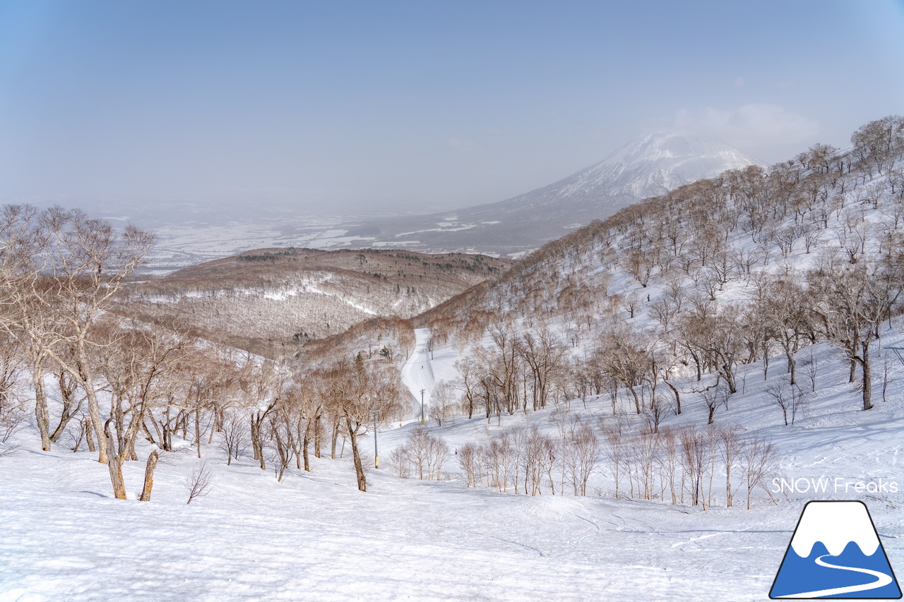 ニセコビレッジ ＆ ニセコHANAZONOリゾート ＆ ニセコ東急 グラン・ヒラフ｜現在も全エリアで山頂から山麓まで大部分滑走可能！とにかく広い世界のニセコ(^^)v